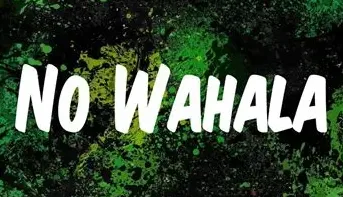 No wahala 1da Banton