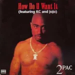 2Pac How Do You Want It Mp3 Download