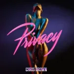 Chris Brown Privacy Mp3 Download