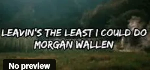 Morgan Wallen Leavin's The Least I Could Do