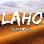 Shallipopi Laho Mp3 Download